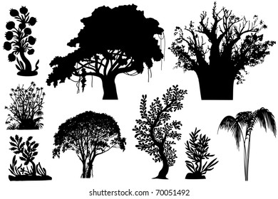 vector - various African trees and bushes