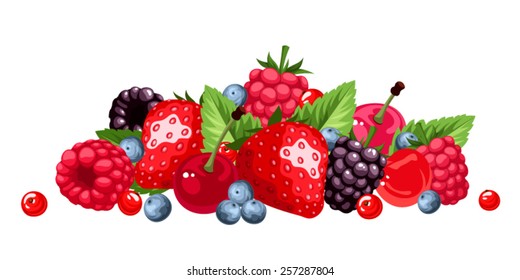 Vector various berries isolated on a white background.