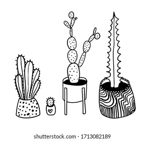 vector  various cactus in the pots set