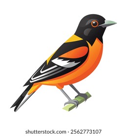 Vector various cartoon birds collection for any visual design