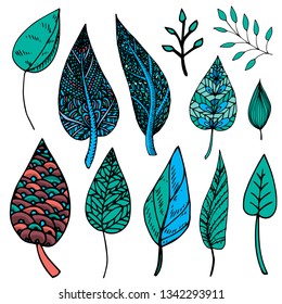 Vector various doodle leaves illustration set in green, blue and burgundy colours isolated on white background