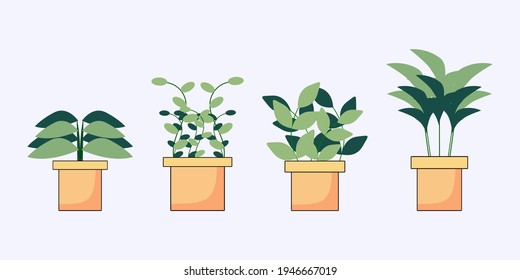 vector of various home plant