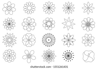 vector of various kinds of beautiful flowers