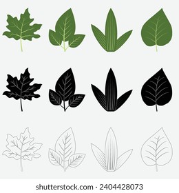 Vector de diversos tipos de hojas en otoño