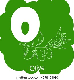 Vector vegetable alphabet for education. Illustration for kids. Letter O for Olive