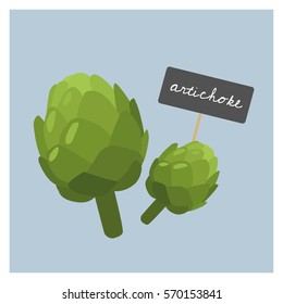 Vector Vegetable - Artichoke