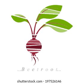 Vector of vegetable, beetroot icon on isolated white background