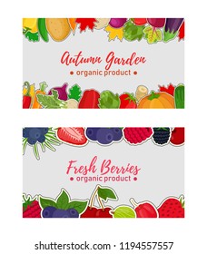 Vector vegetable and berries labels, vouchers for markets or shops. Fresh organic products fruits. Natural food - strawberry, blueberry, potato, pepper, tomato, pumpkin, carrot. Cartoon flat style