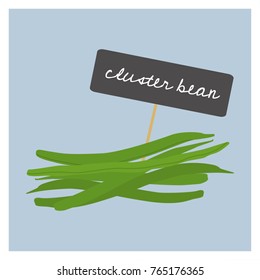 Vector Vegetable - Cluster Bean