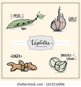 vector vegetable collection. collection of hand-drawn vegetable, vector illustration doodles style.