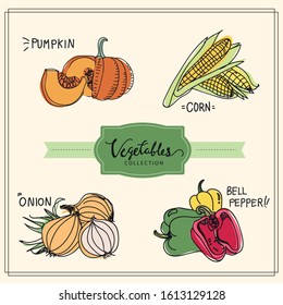 vector vegetable collection. collection of hand-drawn vegetable, vector illustration doodles style.