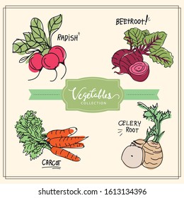 vector vegetable collection. collection of hand-drawn vegetable, vector illustration doodles style.
