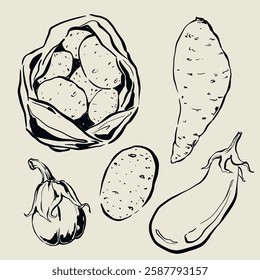Vector vegetable doodle illustration of potato and eggplant. Hand-drawn garden harvest sketch. Organic farm graphics. Tasty food for design, veggie market drawing print, fabric or background.