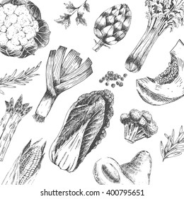 vector vegetable hand drawn collection - cabbage, asparagus, pumpkin, broccoli, leek, artichoke, avocado, corn. vegetable sketch. vegetable elements. fresh vegetables