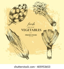 vector vegetable hand drawn elements. vegetarian healthy food diet. food icon sketch drawing. restaurant menu template. hand drawn artichoke, celery, corn, leek