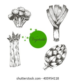 vector vegetable hand drawn elements. vegetarian healthy food diet. food icon sketch drawing. restaurant menu template. hand drawn broccoli, leek, asparagus, artichoke