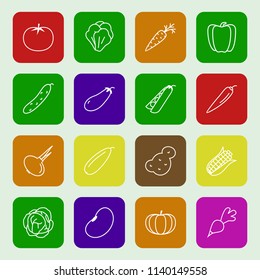 vector vegetable icon set with corn, pepper, pea, bean, radish, pumpkin, tomato, chilli, cucumber, cabbage, potato, carrot, onion for banner sale, pattern, logo, web, decoration. 10 eps