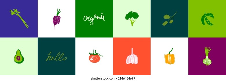 Vector vegetable icon set for organic food label, healthy eat packaging design. Green hand drawn broccoli symbol, tomato icon, onion sign, soy Illustration, garlic drawing, olive insignia, beet logo.