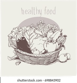 Vector vegetable illustration
