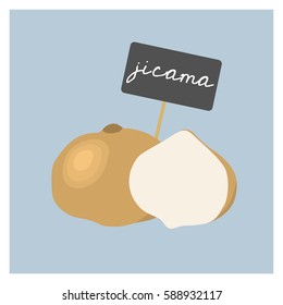 Vector Vegetable - Jicama