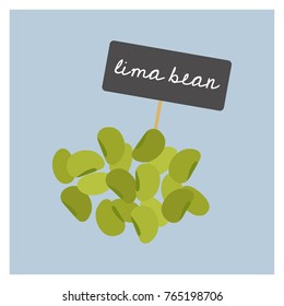 Vector Vegetable - Lima Bean