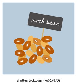 Vector Vegetable - Moth Bean