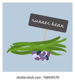 Vector Vegetable - Runner bean