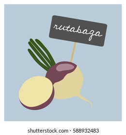 Vector Vegetable - Rutabaga