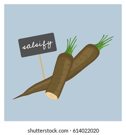 Vector Vegetable - Salsify