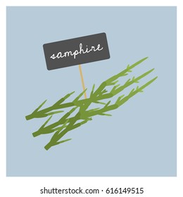 Vector Vegetable - Samphire