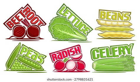 Vector Vegetable Set, collection of 6 isolated compositions of rustic vegetables with colorful text for package, group of cartoon whole and parts various ripe vegetables with names on white background
