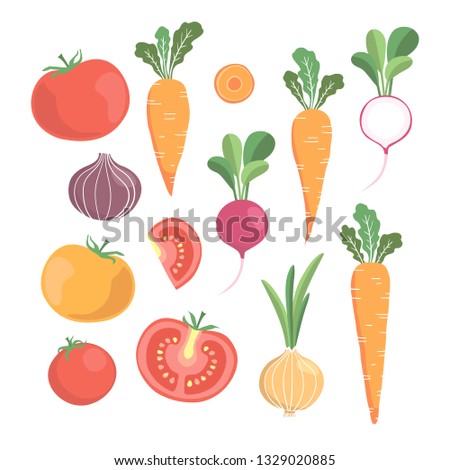 vector vegetable set with tomatoes, radish, carrot, onion