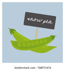 Vector Vegetable - Snow pea