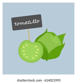 Vector Vegetable - Tomatillo