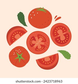 Vector vegetable tomato elements set