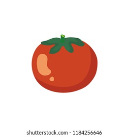 vector vegetable tomato illustration, fresh organic healthy food