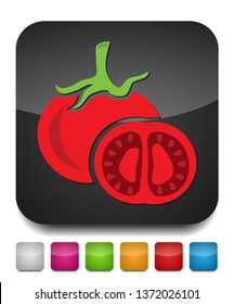 vector vegetable tomato illustration isolated, fresh organic healthy food