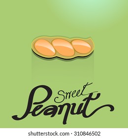 Vector vegetable with typography of name design. sweet vegetable concept