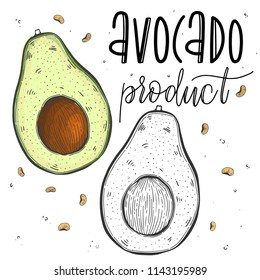 Vector vegetables avocado in a realistic sketch style. Healthy food, natural product, vegetable farm, vegan food, sports nutrition. Vintage illustration. Color and black line. Text