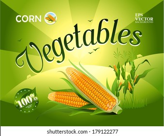 Vector vegetables. Corn