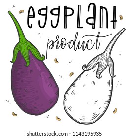 Vector vegetables eggplant in a realistic sketch style. Healthy food, natural product, vegetable farm, vegan food, sports nutrition. Vintage illustration. Color and black line. Text