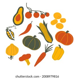 Vector vegetables food on white background. Colored farm products. hand drawn fresh color vegetables on beige