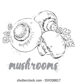 Vector vegetables. Food. Stock meal. Mushrooms. Champignon.