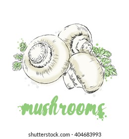 Vector vegetables. Food. Stock meal. Mushrooms. Champignon.