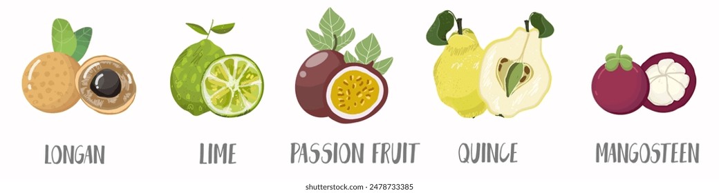 Vector vegetables  and fruits, berries icons set in hand drawn style. Collection farm product for restaurant menu, market label.