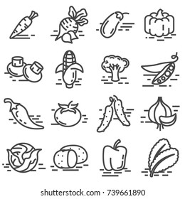 Vector vegetables icon collection. Line style illustrations