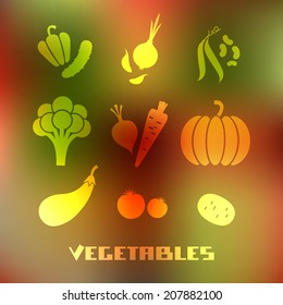 Vector vegetables icon on blurred background. Food sign. Healthy lifestyle illustration for print, web