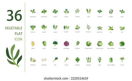 Vector vegetables icon set. Includes Brassica oleracea and other icons.