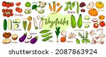 Vector vegetables icons in cartoon style. Large collection of farm products for menus and market labels.