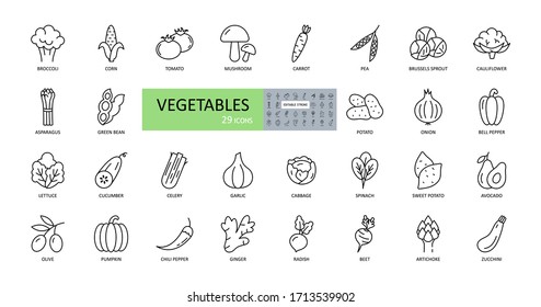 Iconos de verduras vectoriales. Trazo editable. Vegetales de ensalada, judías, col, tomate, pepino, aguacate. Cereales de colmena de coliflor cebolla de ajo jengibre de apio de rábano